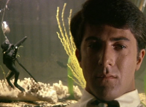 Los Angeles Times - The Graduate